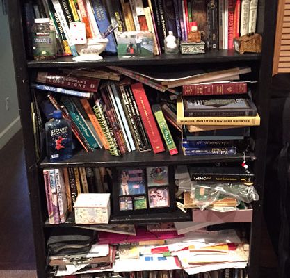 Book Shelves Organization